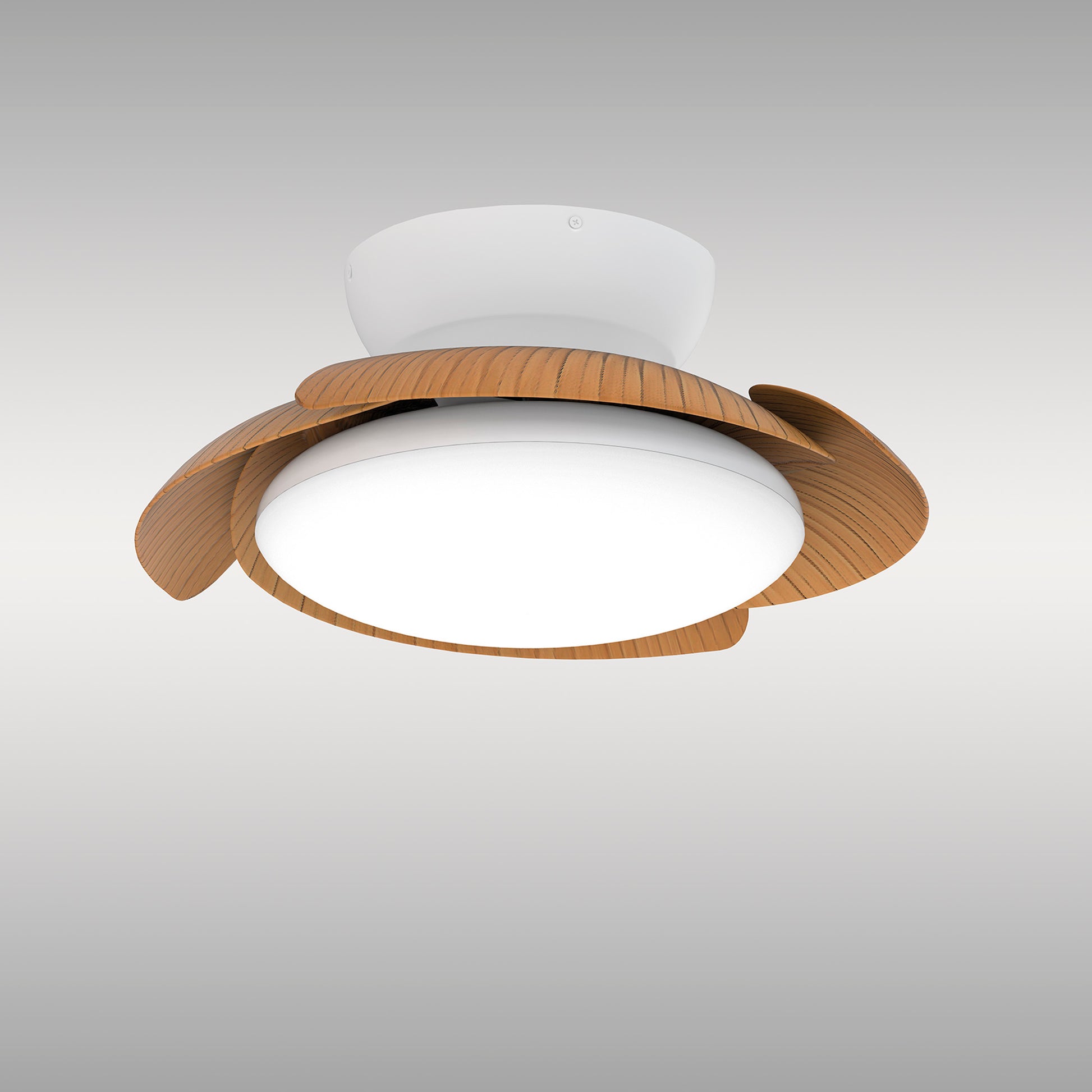The Aloha White/Wood Ceiling Fan with Light from Ceiling Fans UK showcases a sleek white body paired with four curved wooden blades, all centered around a 45W LED dimmable light fixture. With a built-in 30W DC reversible fan and enveloped by minimalist aesthetics, this modern ceiling fan perfectly complements contemporary settings against a plain gray background. Plus, it comes with peace of mind thanks to its 5-year warranty.