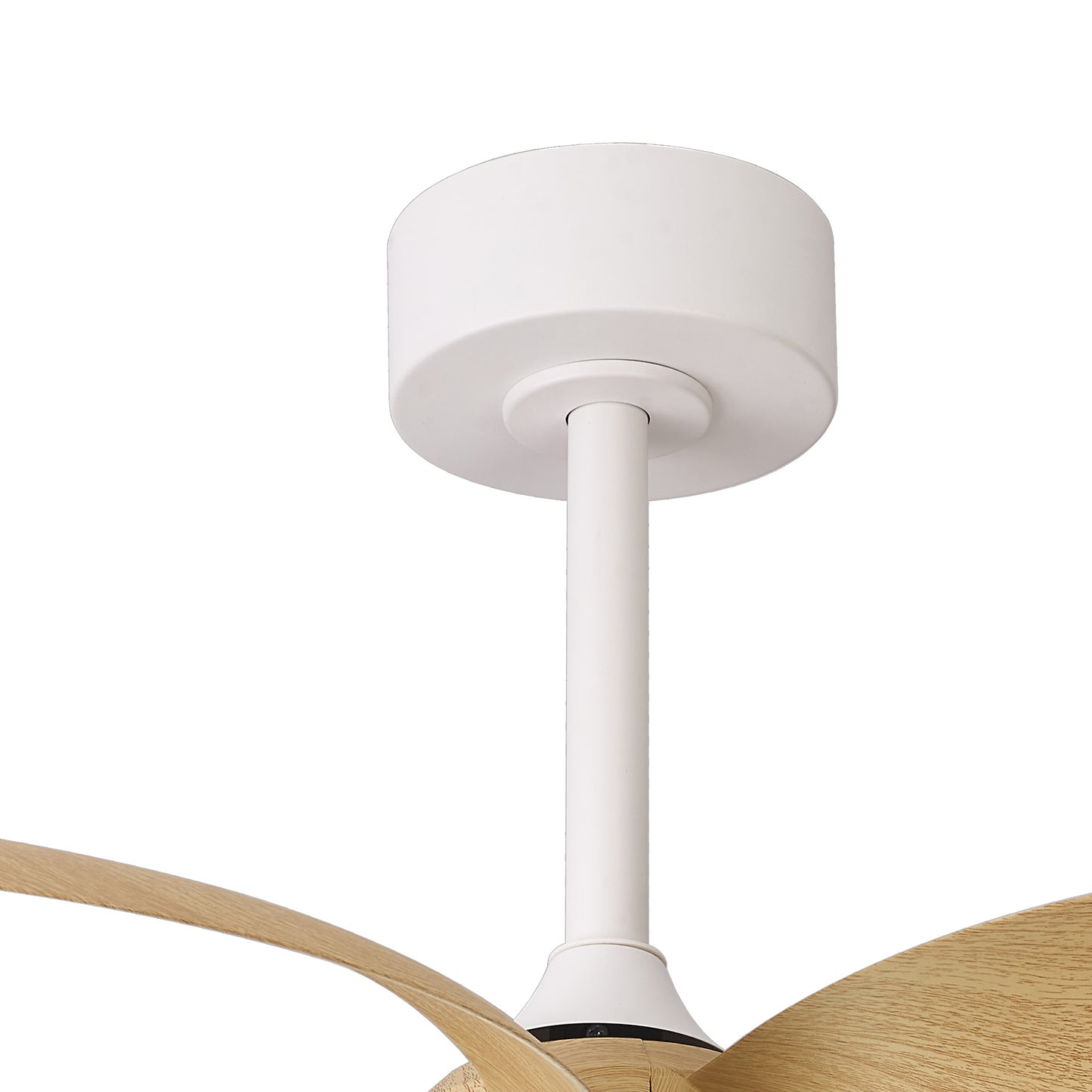 Close-up of a Ceiling Fans UK Infinity White/Wood ceiling fan showing the white mounting base and downrod. The fan features light-colored wooden blades, offering a minimalist and contemporary design. The image focuses on the upper part of the fan where it attaches to the ceiling.