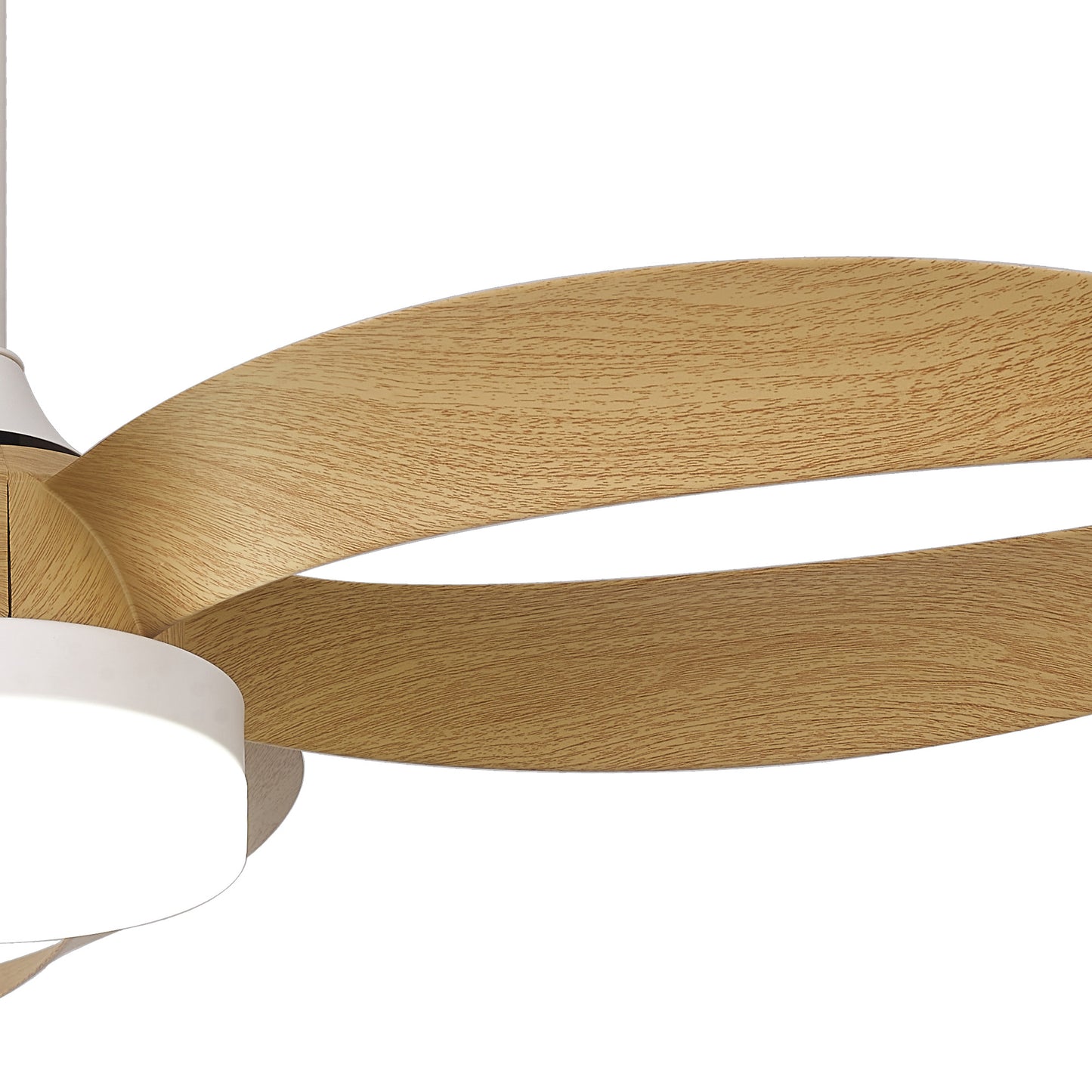 A close-up view of the Ceiling Fans UK Infinity White/Wood ceiling fan, featuring two wide, wooden blades with a smooth and light wood grain finish. The centerpiece is a 24W dimmable LED light fixture, giving the 92.6cm Infinity Fan Series a sleek and contemporary look. This modern ceiling fan also includes a built-in 30W DC reversible fan and comes with remote control for added convenience.